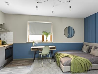 Picture 8